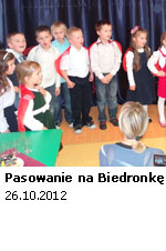 Pasowanie na Biedronkę